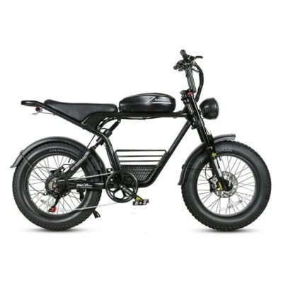 Vélo électrique SAMEBIKE M20 1000W